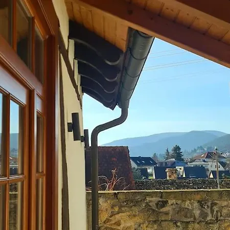 Ferienwohnung Pfalztraum 3 شقة *